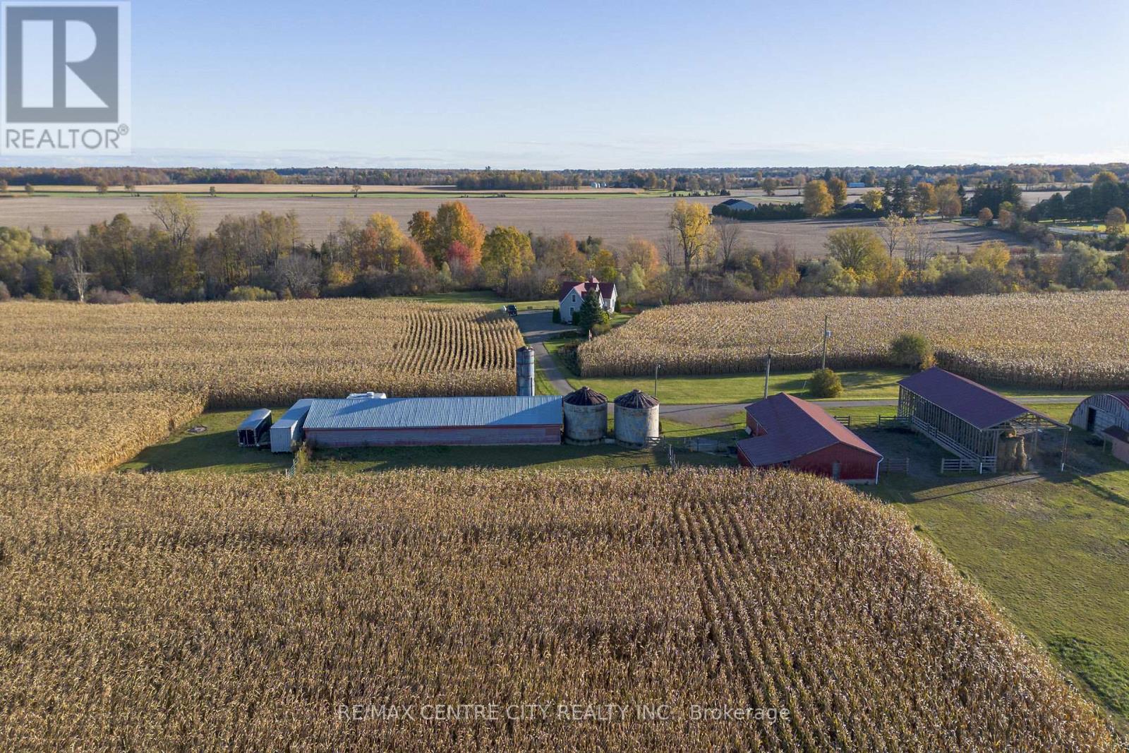 15859 Talbot Trail, Chatham-Kent, Ontario  N0L 1X0 - Photo 13 - X12528136