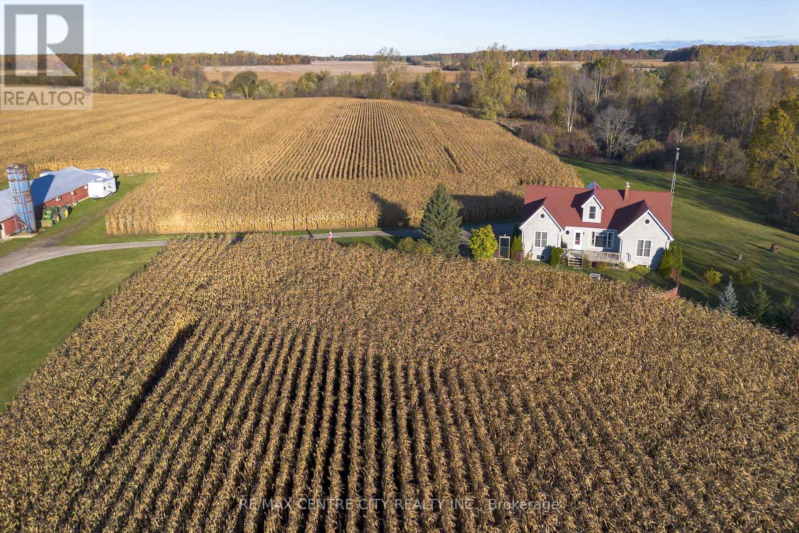 15859 Talbot Trail, Chatham-Kent, Ontario  N0L 1X0 - Photo 17 - X12528136