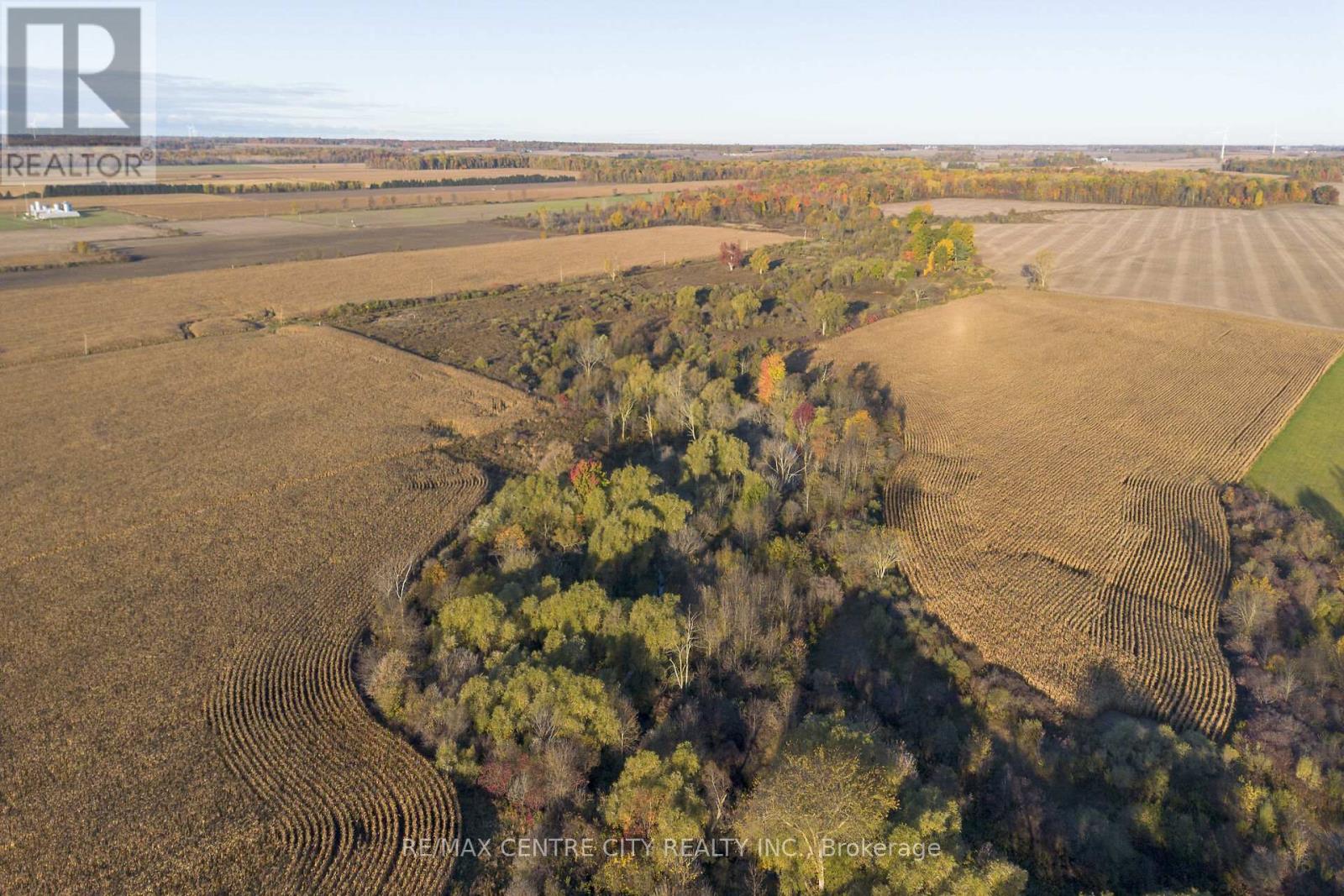 15859 Talbot Trail, Chatham-Kent, Ontario  N0L 1X0 - Photo 5 - X12528136