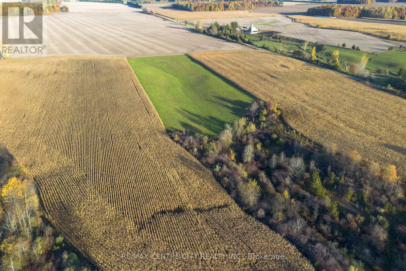 15859 Talbot Trail, Chatham-Kent, Ontario  N0L 1X0 - Photo 6 - X12528136