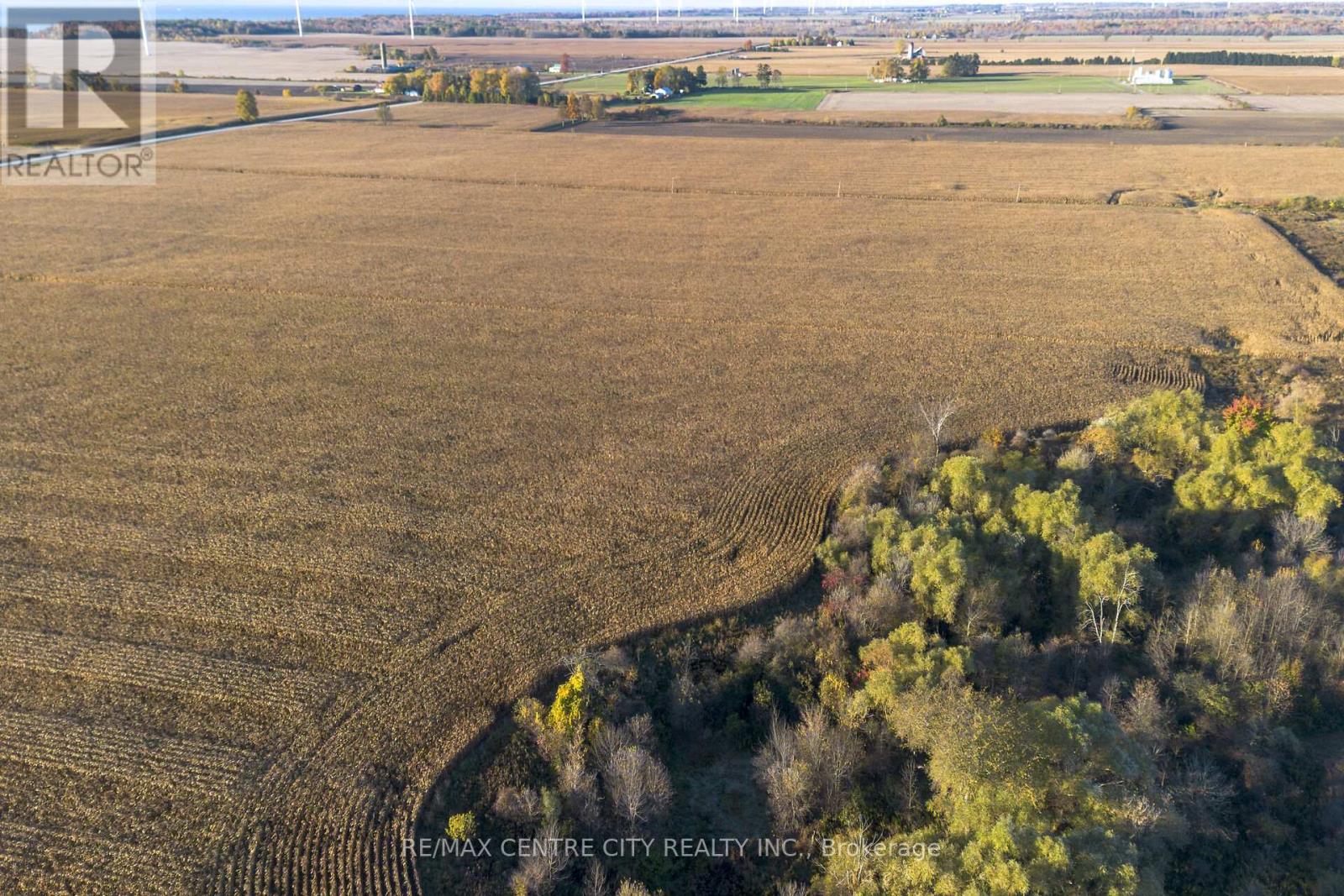 15859 Talbot Trail, Chatham-Kent, Ontario  N0L 1X0 - Photo 7 - X12528136