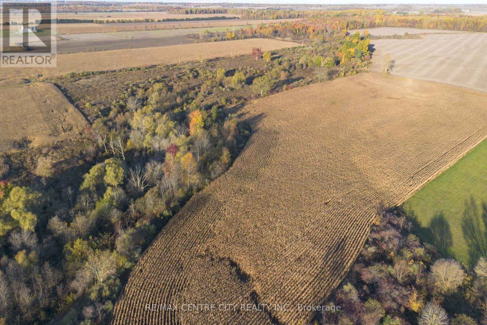 15859 Talbot Trail, Chatham-Kent, Ontario  N0L 1X0 - Photo 8 - X12528136