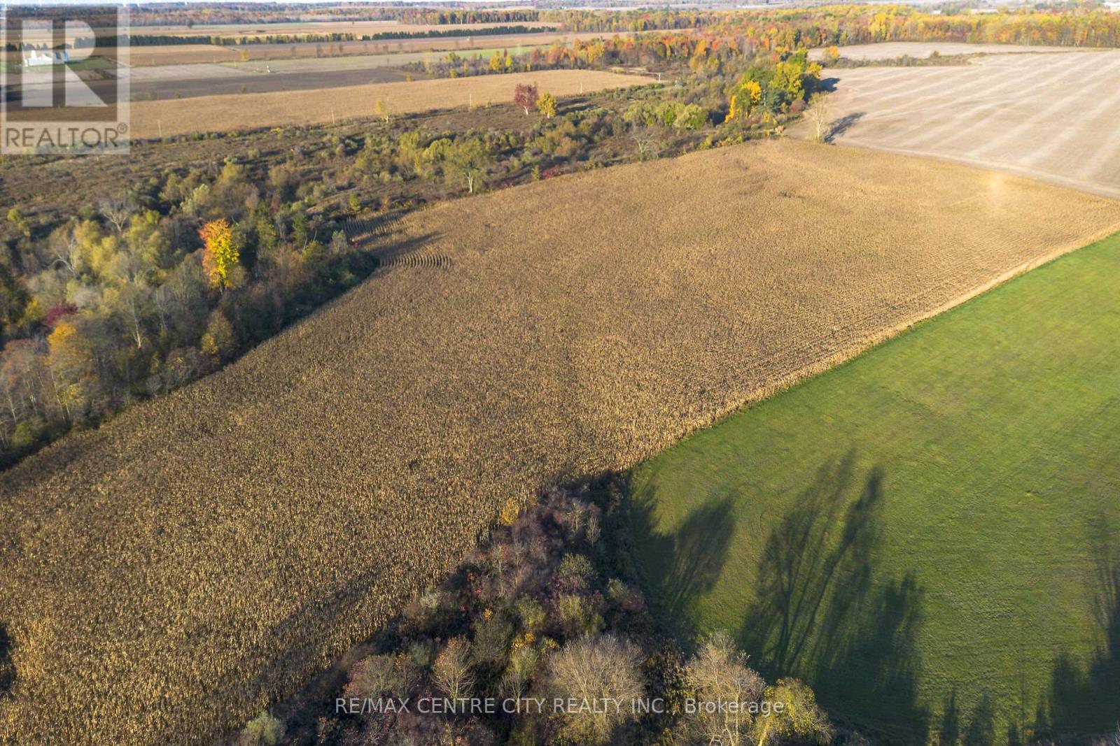 15859 Talbot Trail, Chatham-Kent, Ontario  N0L 1X0 - Photo 9 - X12528136