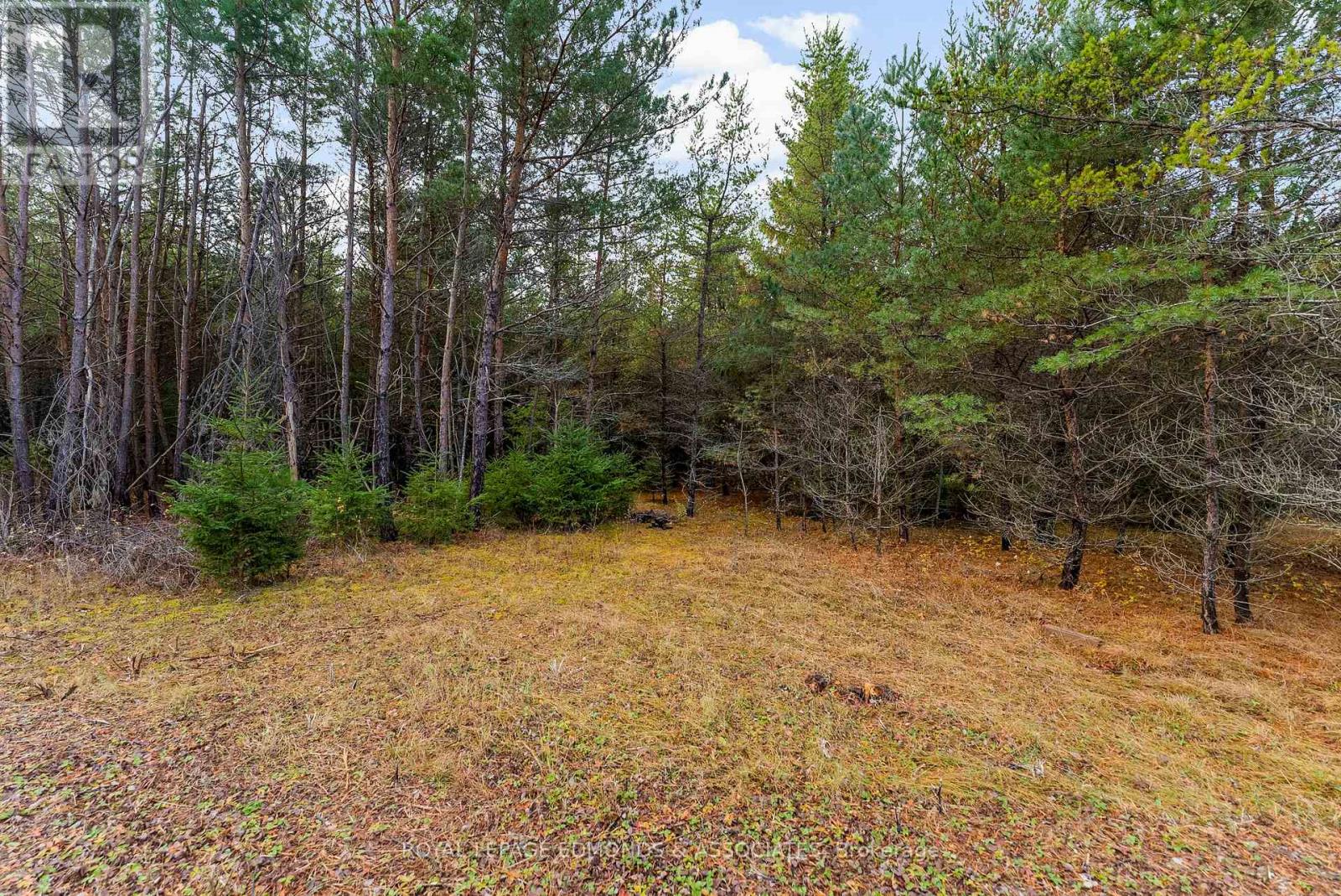 939 Beachburg Road, Whitewater Region, Ontario  K0J 1C0 - Photo 17 - X12528140