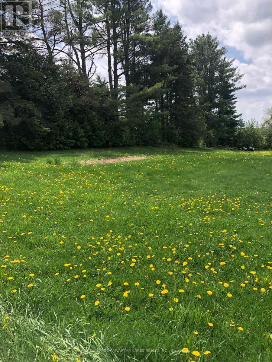 8 Fulsom Crescent, Kawartha Lakes, Ontario L3V 0H5 - Photo 4 - X12528484