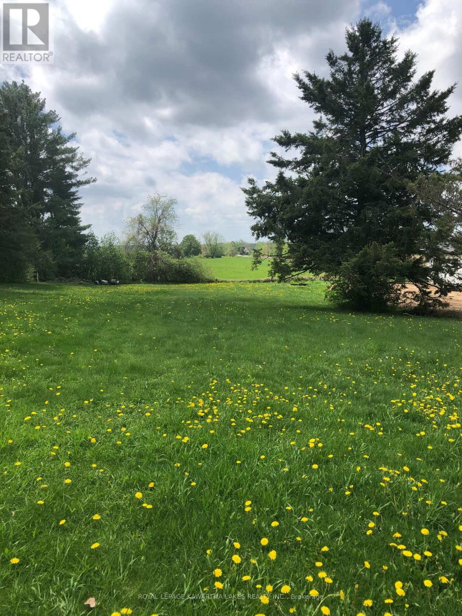 8 Fulsom Crescent, Kawartha Lakes, Ontario L3V 0H5 - Photo 6 - X12528484