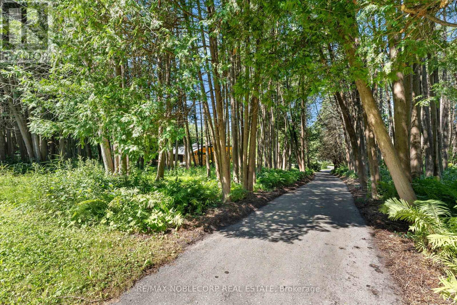 3435 Greenwood Road, Pickering, Ontario  L1X 0J3 - Photo 49 - E12528116