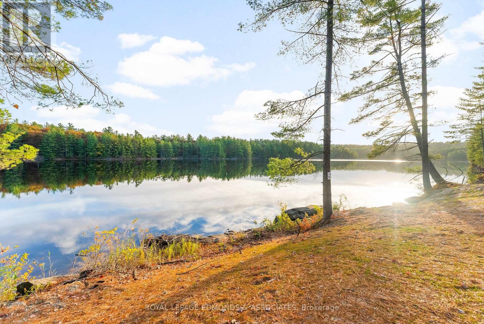 Lt 12 Voyageur Bay Trail, Whitewater Region, Ontario  K0J 1V0 - Photo 1 - X12528460