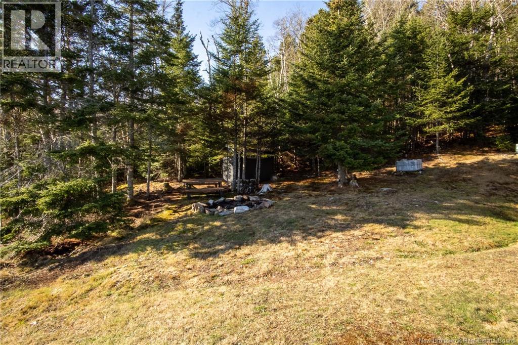 2025 790 Route, Chance Harbour, New Brunswick  E5J 1Y6 - Photo 36 - NB129784