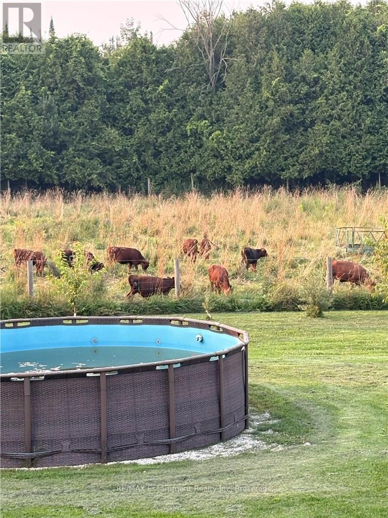 323135 Durham Road E, West Grey, Ontario  N0G 1R0 - Photo 32 - X12528278