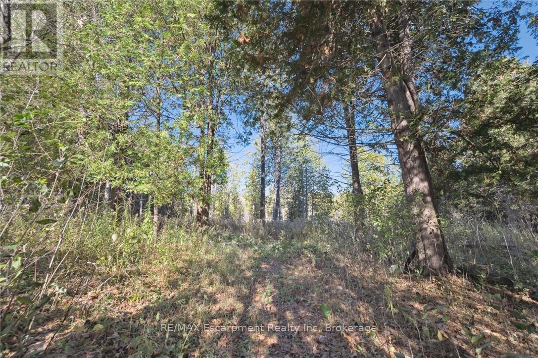 323135 Durham Road E, West Grey, Ontario  N0G 1R0 - Photo 47 - X12528278