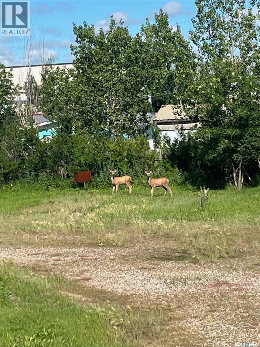 110 Malmgren Drive - Super 6 Motel, Estevan Rm No. 5, Saskatchewan  S4A 2A7 - Photo 4 - SK023748