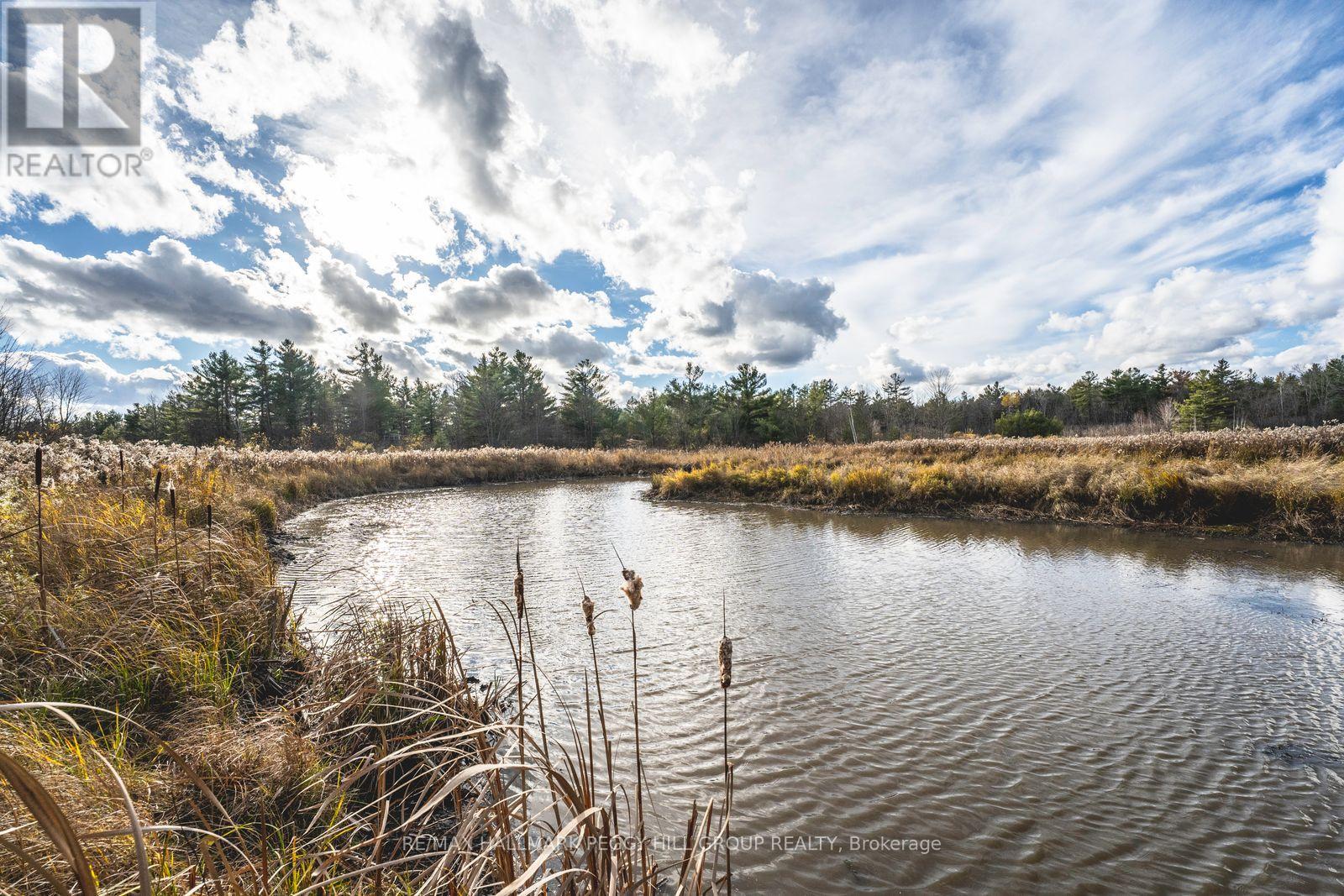 2504 Fairgrounds Road, Ramara, Ontario  L0K 2B0 - Photo 32 - S12523132
