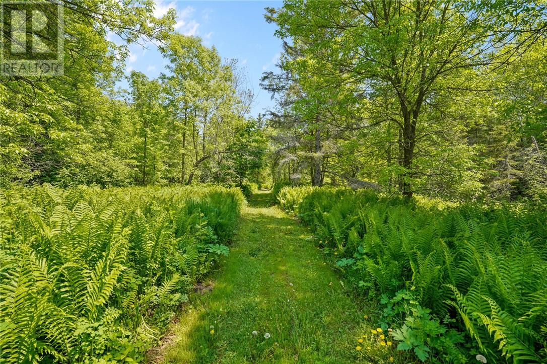 9262 Highway 17, Warren, Ontario P0H 2N0 - Photo 45 - 2125578