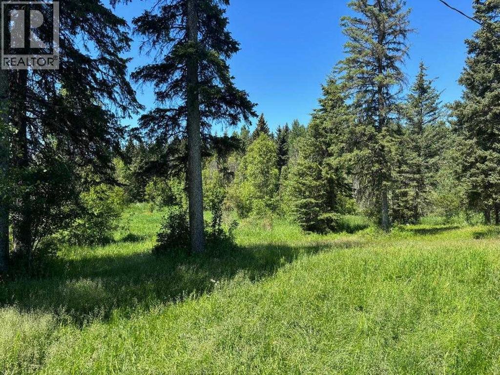 452074 Rr 73, Rural Wetaskiwin No. 10, Alberta  T0C 0A0 - Photo 17 - A2197926