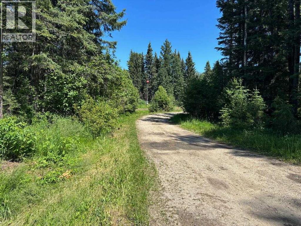 452074 Rr 73, Rural Wetaskiwin No. 10, Alberta  T0C 0A0 - Photo 18 - A2197926