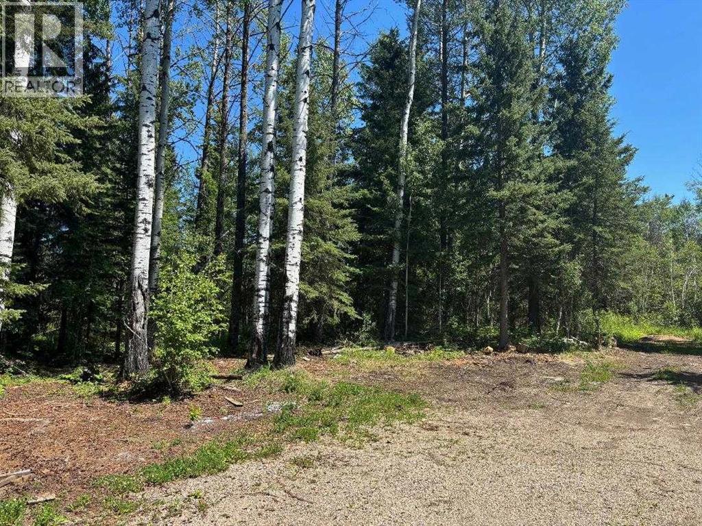 452074 Rr 73, Rural Wetaskiwin No. 10, Alberta  T0C 0A0 - Photo 16 - A2197926