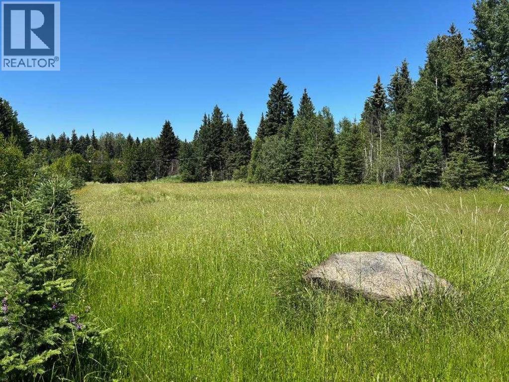 452074 Rr 73, Rural Wetaskiwin No. 10, Alberta  T0C 0A0 - Photo 21 - A2197926