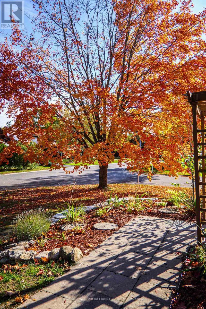 39 Parkview Heights, Quinte West, Ontario  K8V 5M1 - Photo 13 - X12528564