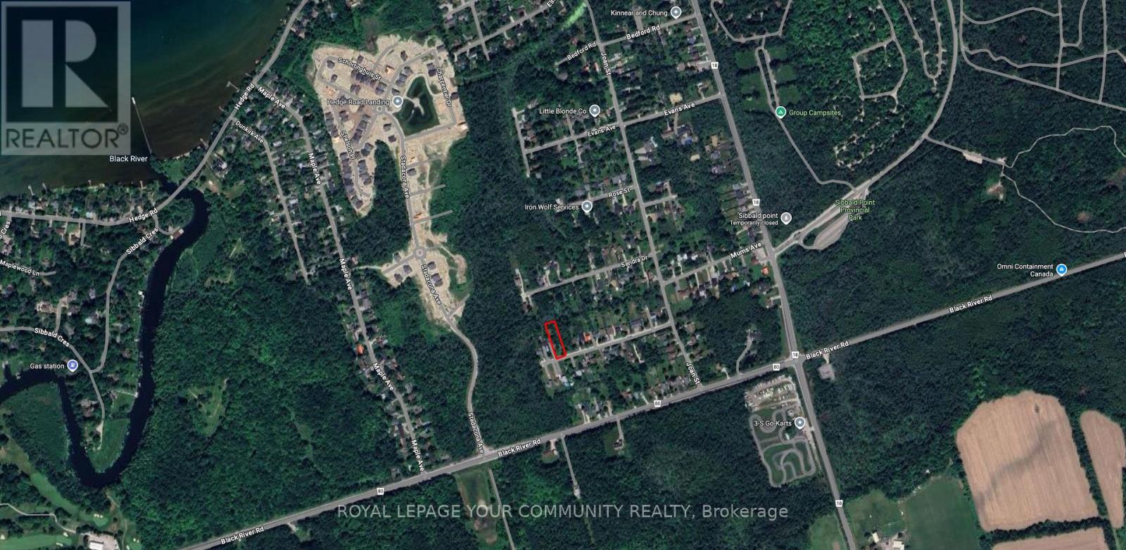 Lot 168 Dorothy Avenue, Georgina, Ontario  L0E 1R0 - Photo 3 - N12523500