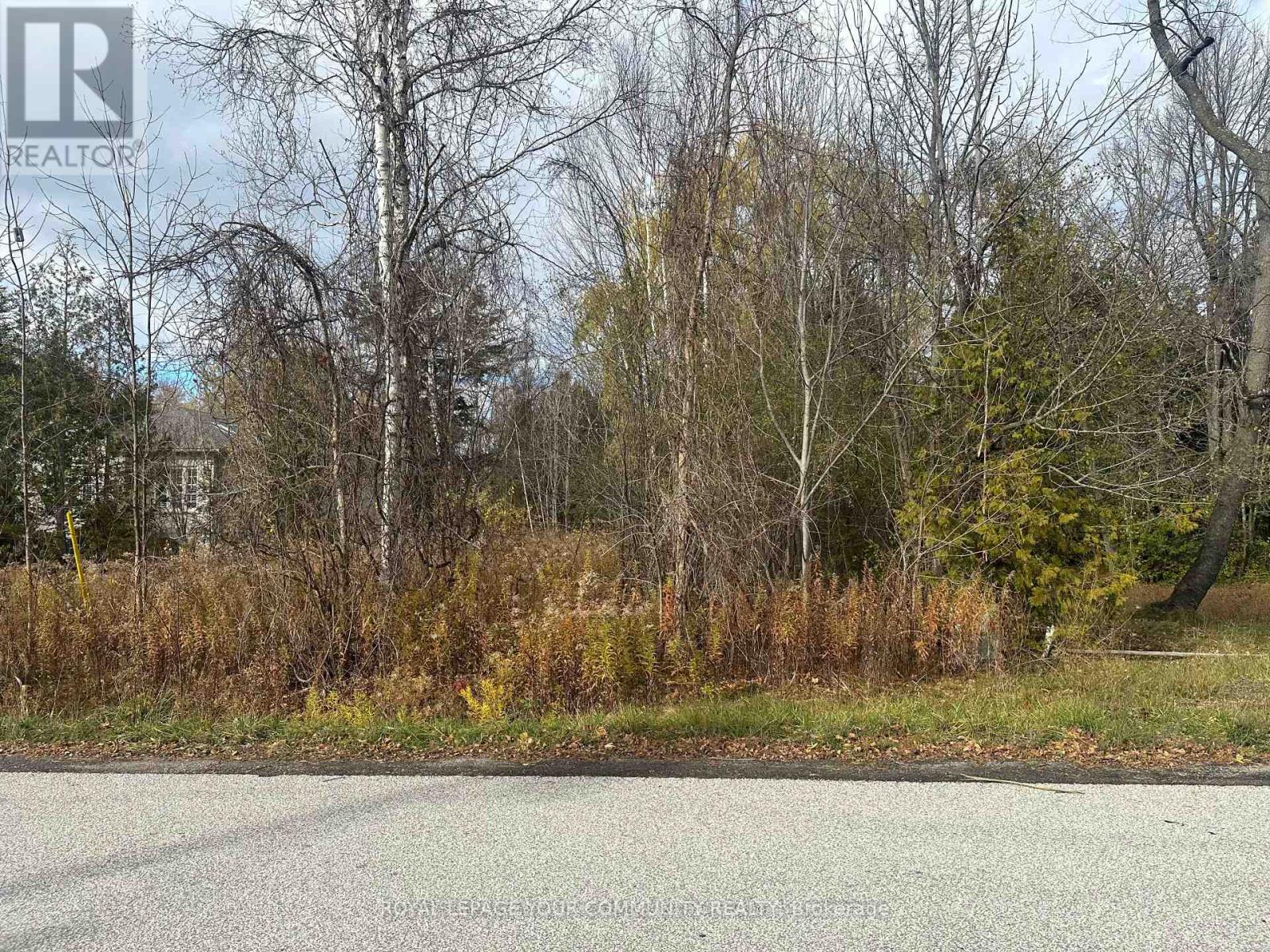 Lot 168 Dorothy Avenue, Georgina, Ontario  L0E 1R0 - Photo 6 - N12523500