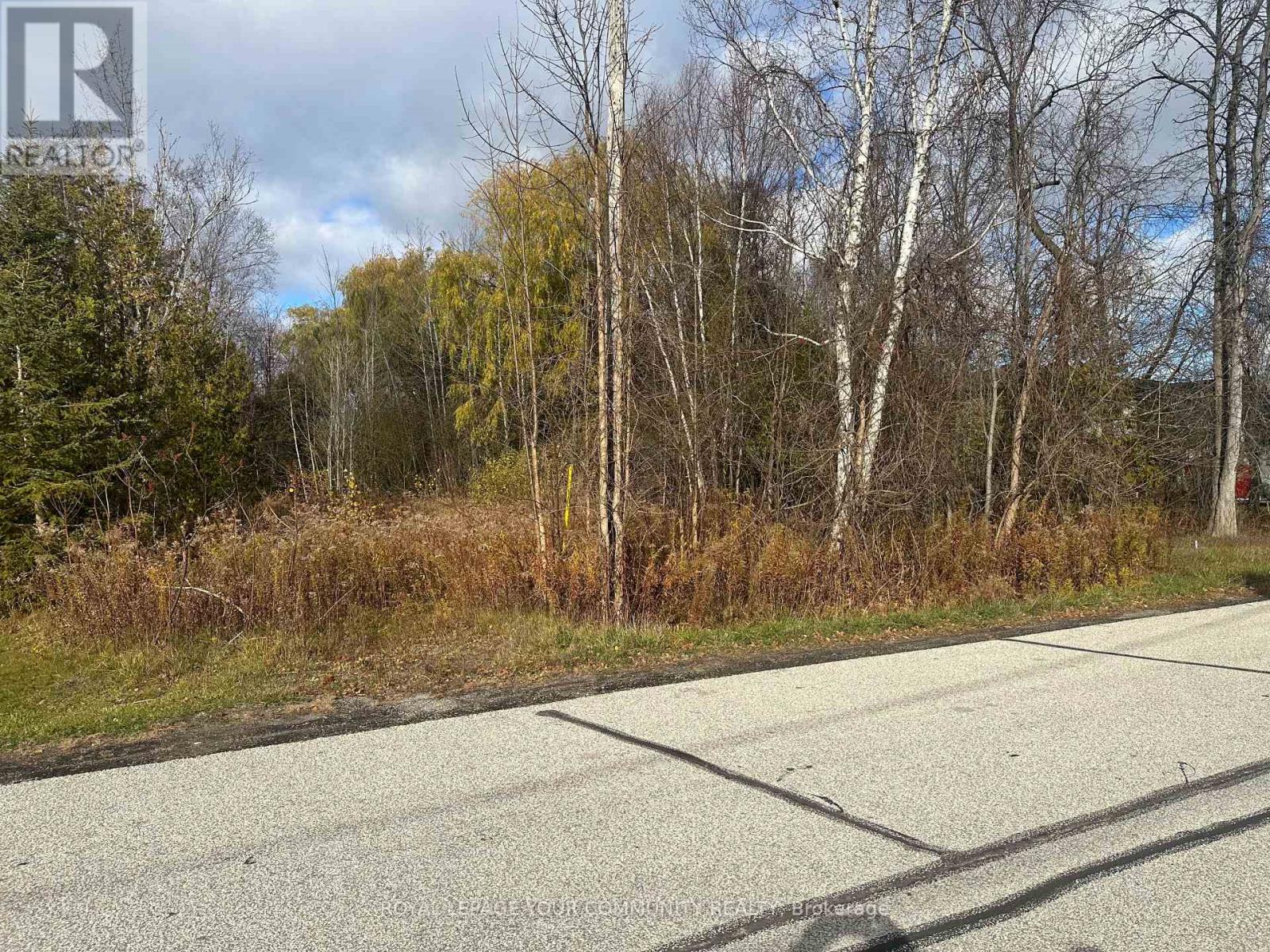 Lot 168 Dorothy Avenue, Georgina, Ontario  L0E 1R0 - Photo 7 - N12523500