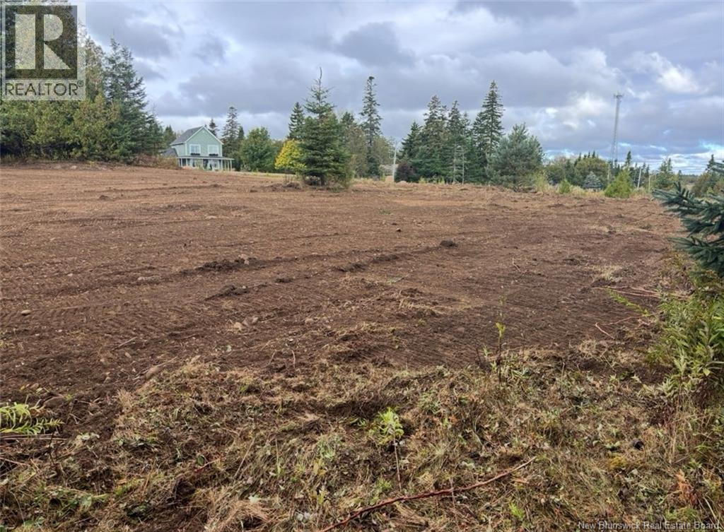 21 Carthier Street, Saint John, New Brunswick  E2N 0C7 - Photo 3 - NB129927