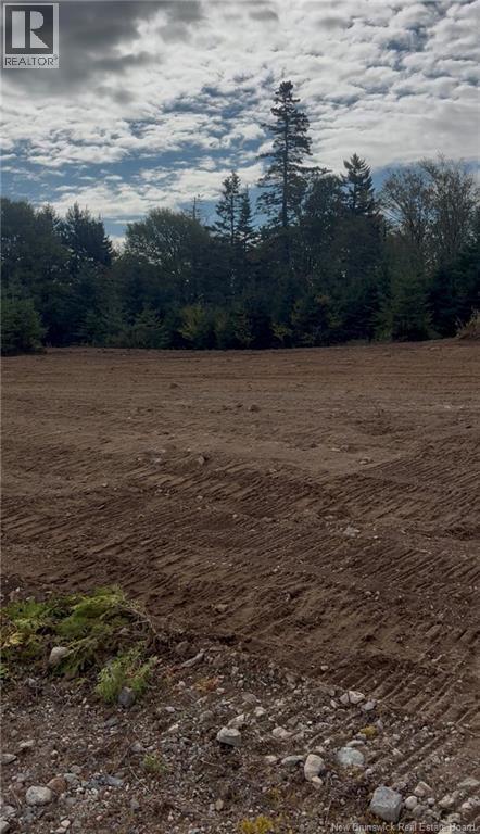 21 Carthier Street, Saint John, New Brunswick  E2N 0C7 - Photo 4 - NB129927