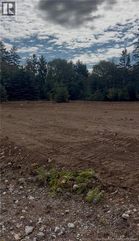 21 Carthier Street, Saint John, New Brunswick  E2N 0C7 - Photo 5 - NB129927