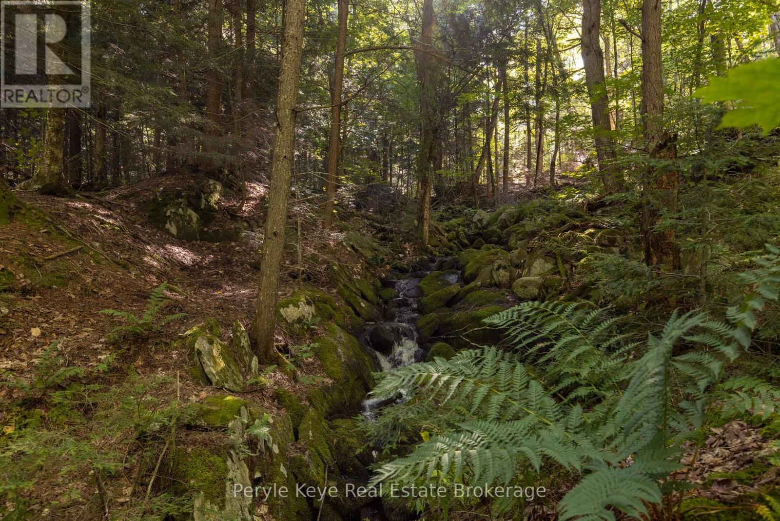 3191 Hwy 518 Highway E, Kearney, Ontario  P0A 1M0 - Photo 26 - X12527450