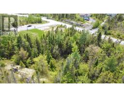 391 Celebration Drive, Fall River, Ca