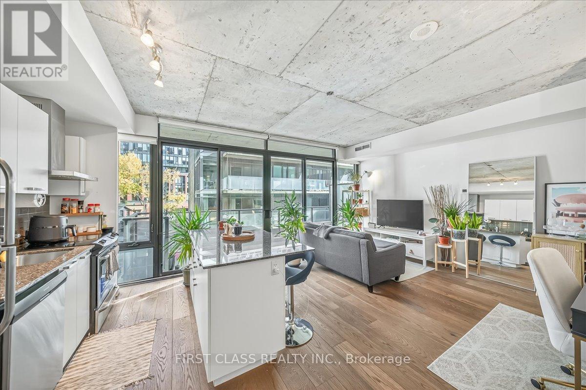 317 - 95 Bathurst Street, Toronto, Ontario  M5V 1M7 - Photo 2 - C12528892