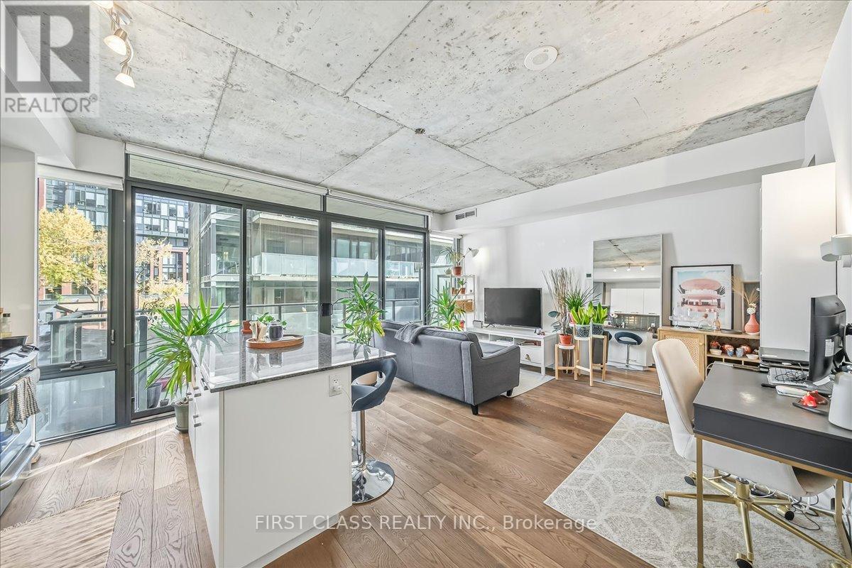 317 - 95 Bathurst Street, Toronto, Ontario  M5V 1M7 - Photo 6 - C12528892