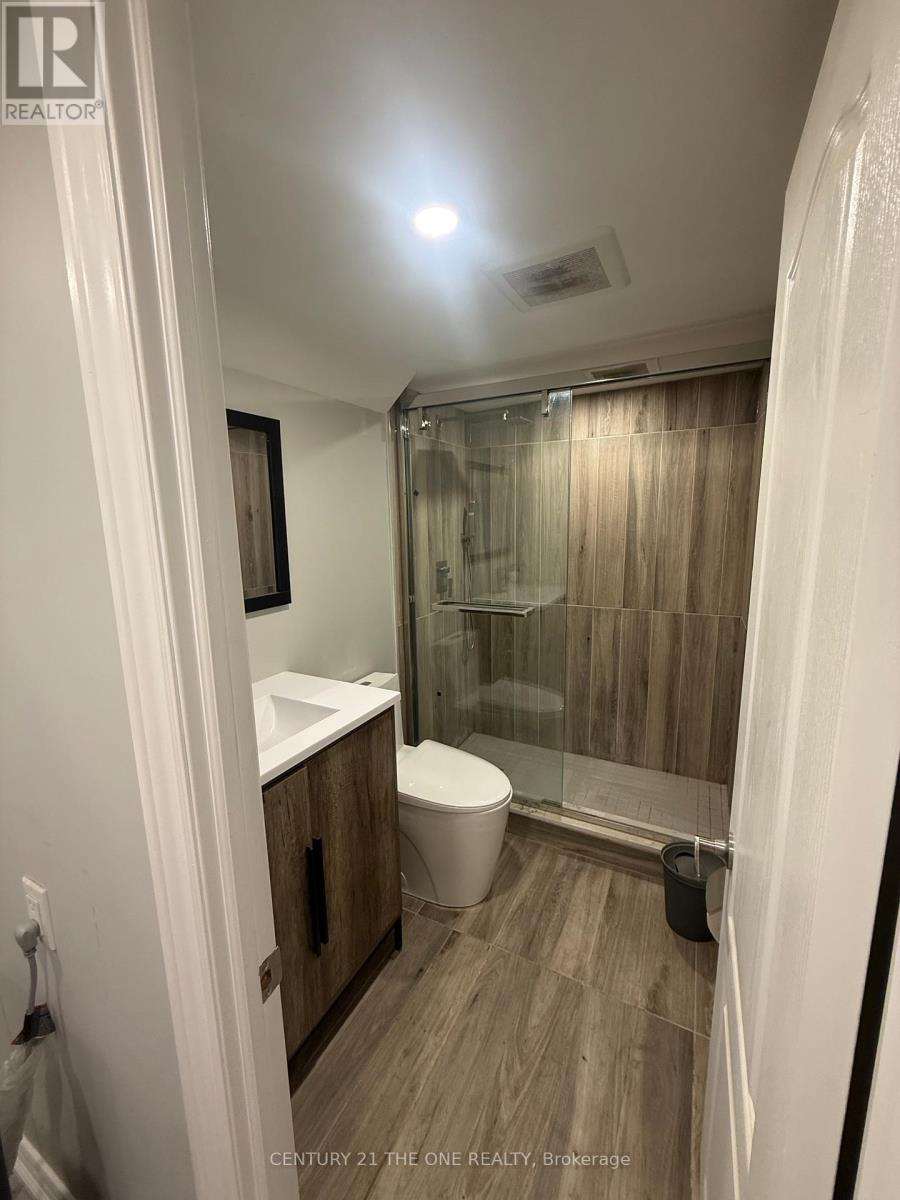 Basement - 850 Carlaw Avenue, Toronto, Ontario  M4K 3L3 - Photo 7 - E12528834