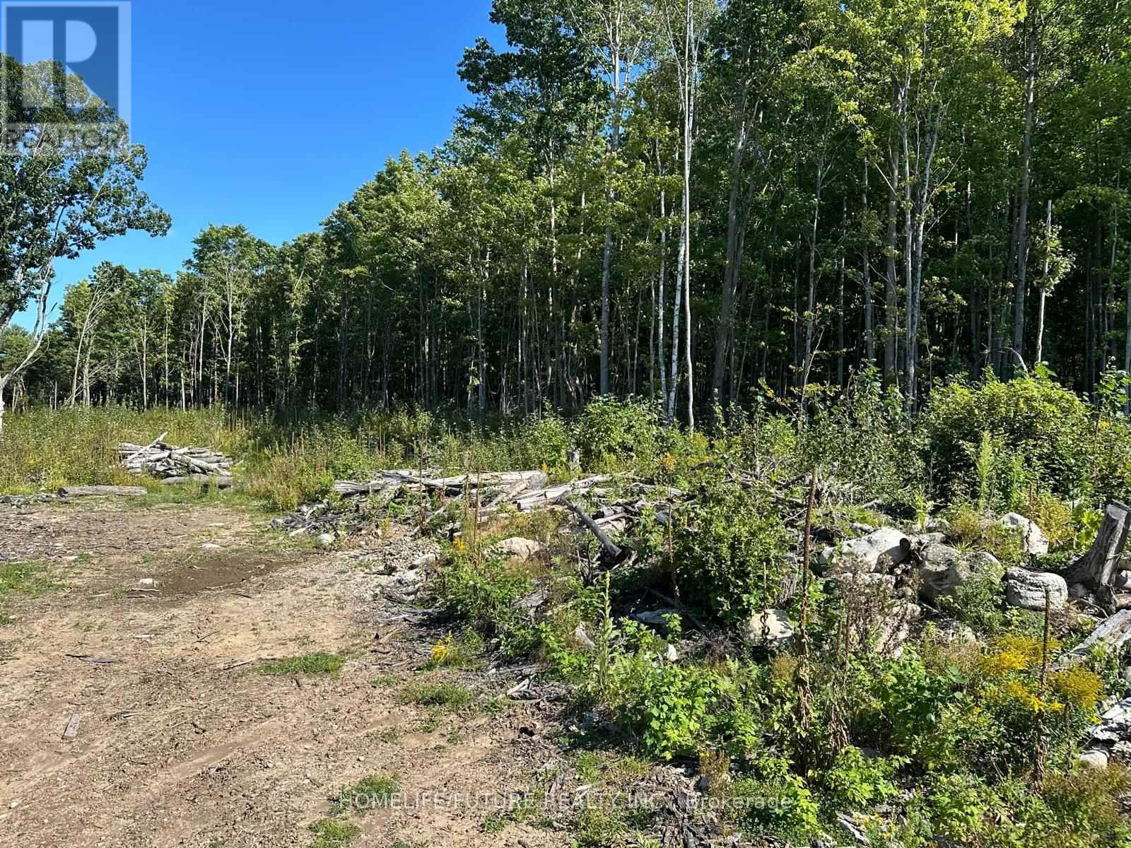 Pt/lt13 Belmont Concession, Havelock-Belmont-Methuen, Ontario  K0L 1Z0 - Photo 7 - X12509880