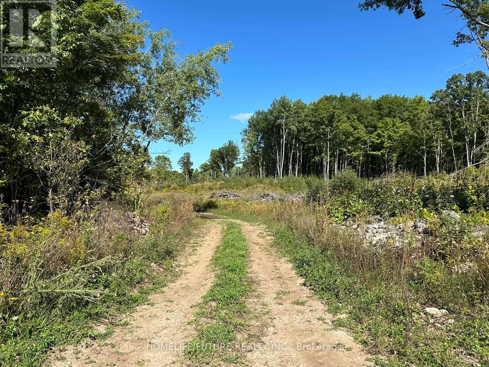 Pt/lt13 Belmont Concession, Havelock-Belmont-Methuen, Ontario  K0L 1Z0 - Photo 9 - X12509880