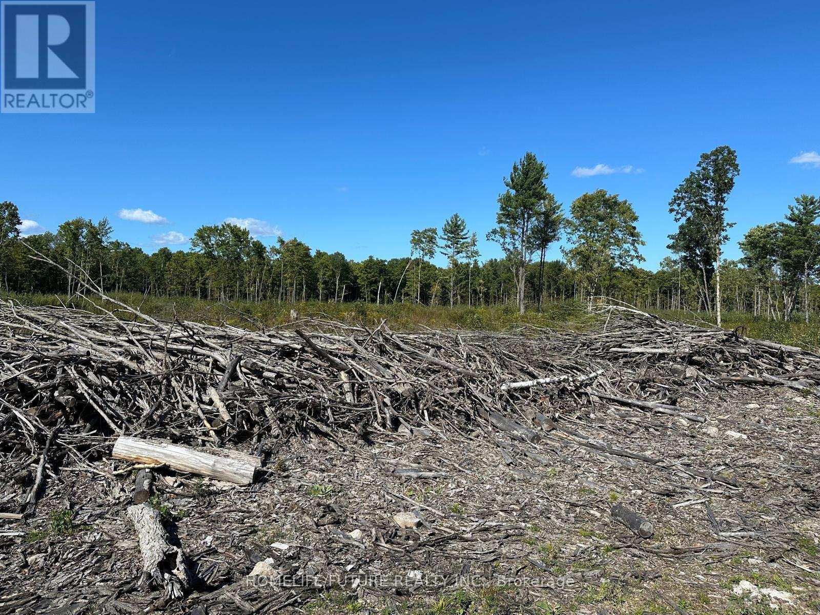 Pt/lt13 Belmont Concession, Havelock-Belmont-Methuen, Ontario  K0L 1Z0 - Photo 10 - X12509880