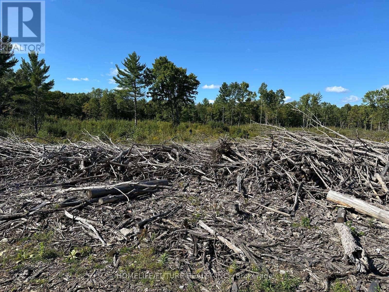 Pt/lt13 Belmont Concession, Havelock-Belmont-Methuen, Ontario  K0L 1Z0 - Photo 11 - X12509880