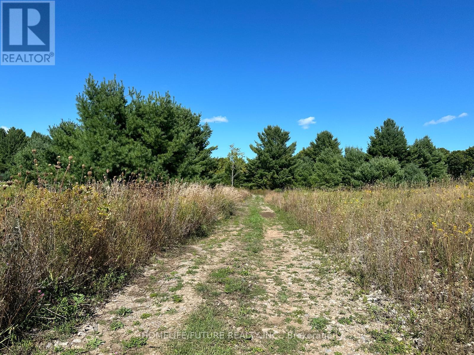 Pt/lt13 Belmont Concession, Havelock-Belmont-Methuen, Ontario  K0L 1Z0 - Photo 2 - X12509880