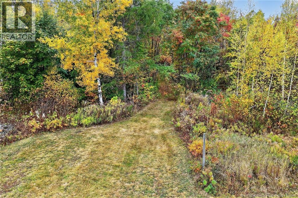 77 Carleton Street, Rogersville, New Brunswick E4Y 1R9 - Photo 25 - NB128165