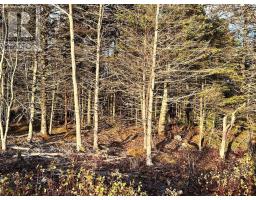 Lots 1 & 9 Shore Road, Western Head, Ca