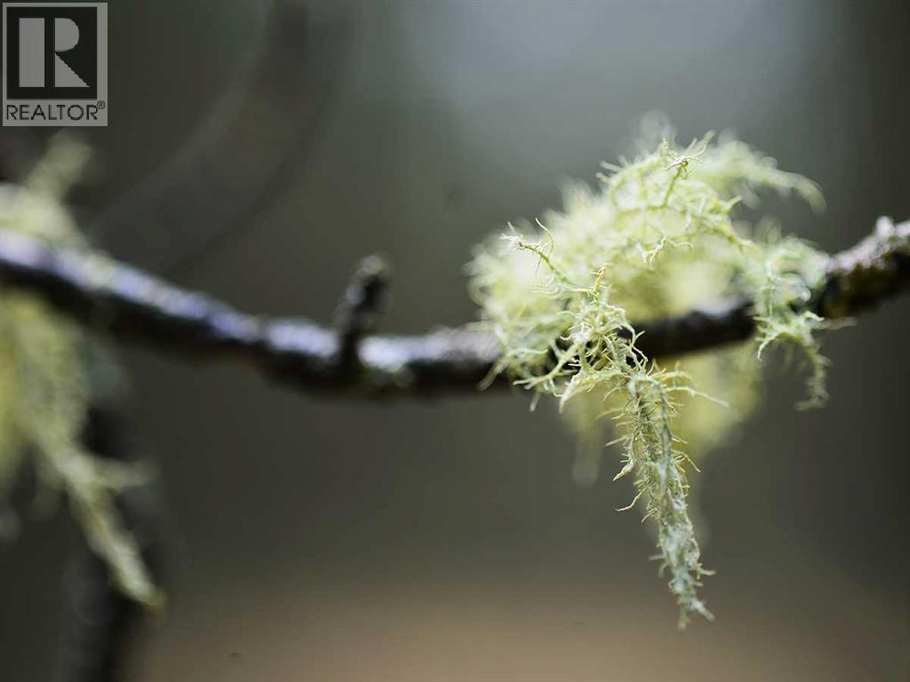 336070 Highway 22 Highway W, Rural Foothills County, Alberta  T0L 0K0 - Photo 29 - A2257267