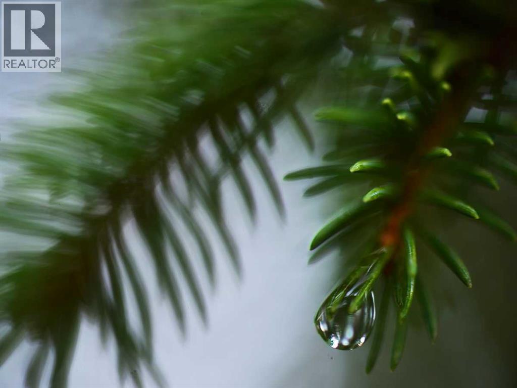 336070 Highway 22 Highway W, Rural Foothills County, Alberta  T0L 0K0 - Photo 27 - A2257267