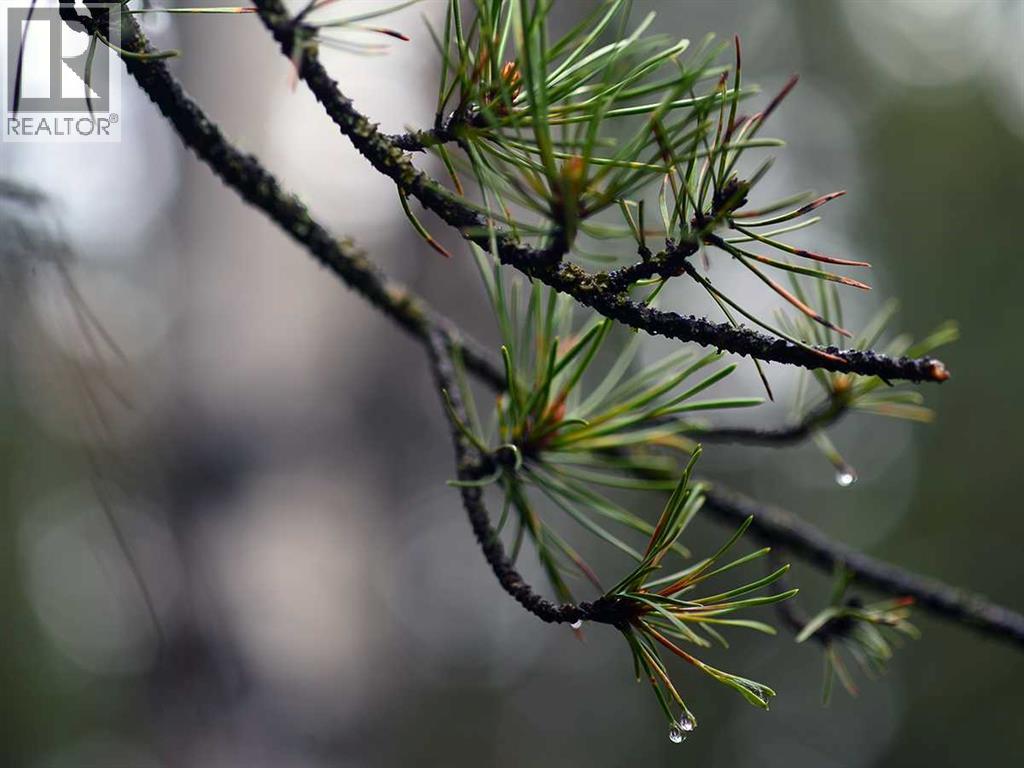 336070 Highway 22 Highway W, Rural Foothills County, Alberta  T0L 0K0 - Photo 31 - A2257267