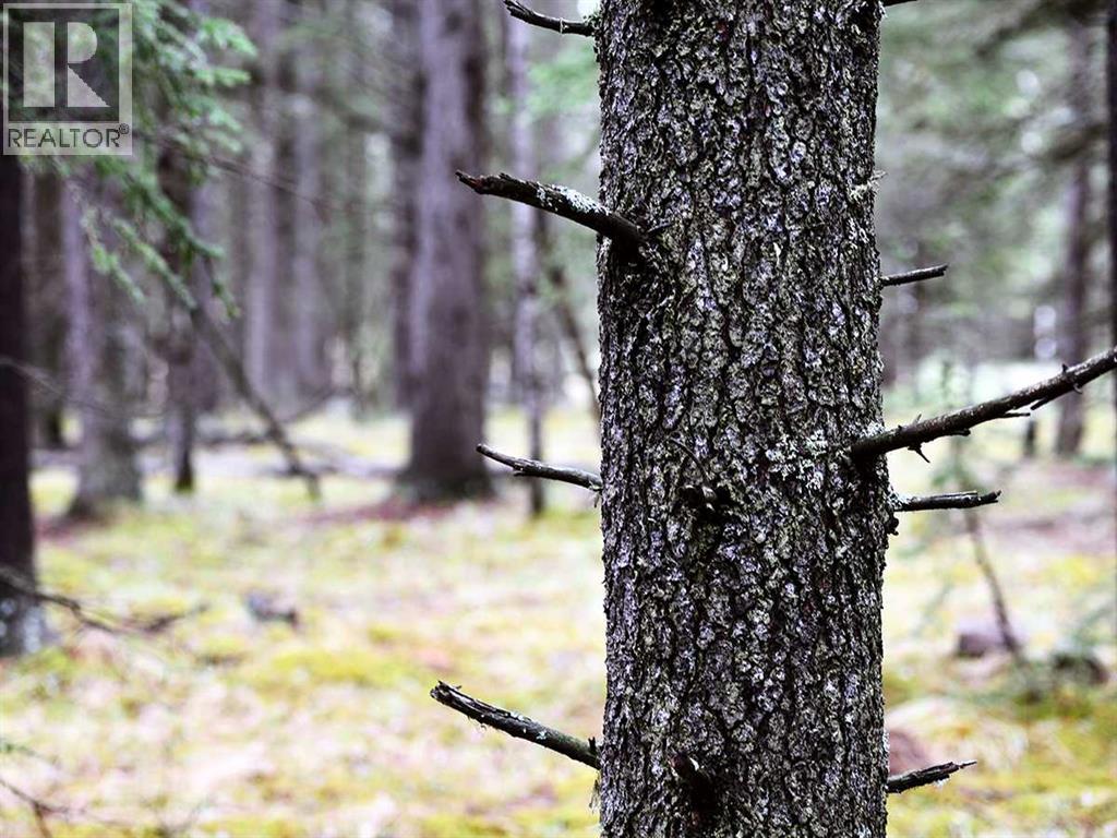 336070 Highway 22 Highway W, Rural Foothills County, Alberta  T0L 0K0 - Photo 22 - A2257267