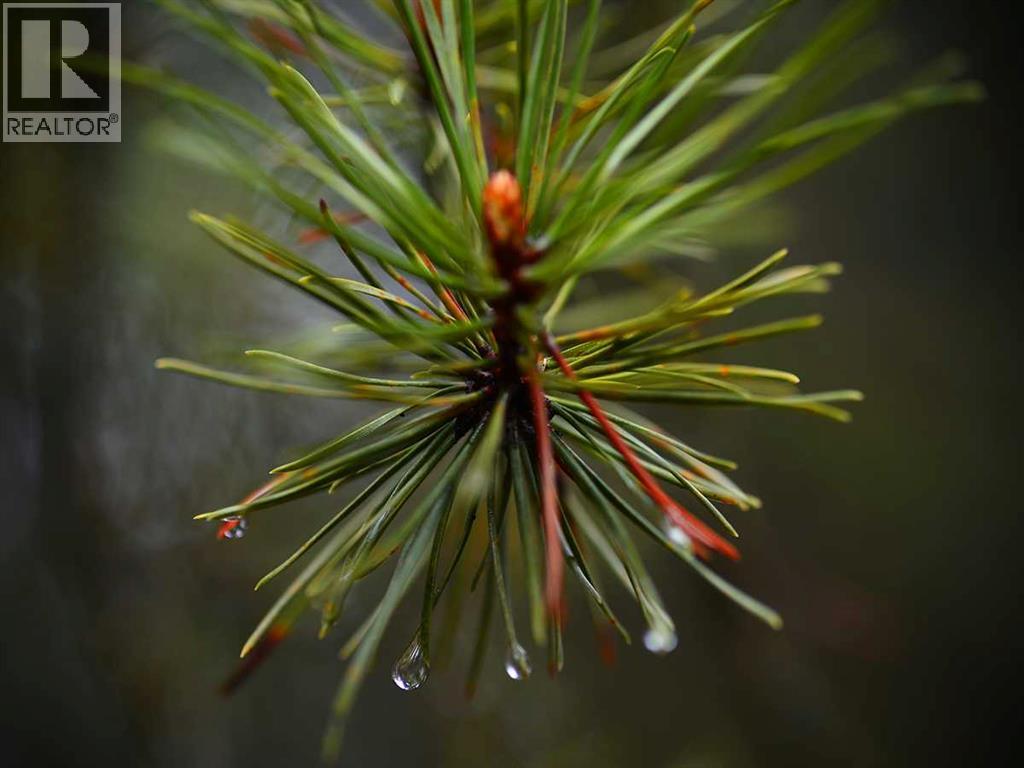 336070 Highway 22 Highway W, Rural Foothills County, Alberta  T0L 0K0 - Photo 32 - A2257267