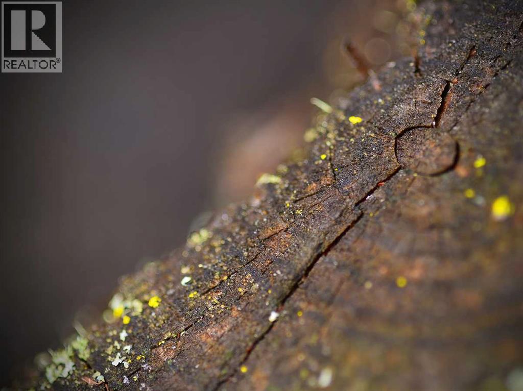 336070 Highway 22 Highway W, Rural Foothills County, Alberta  T0L 0K0 - Photo 28 - A2257267