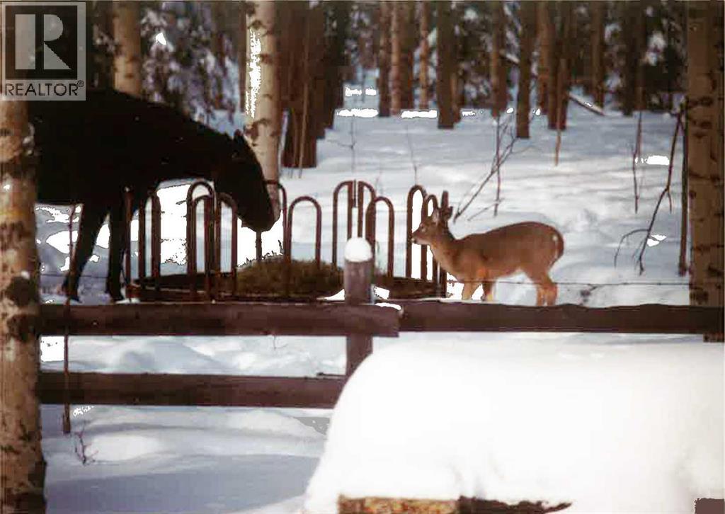 336070 Highway 22 Highway W, Rural Foothills County, Alberta  T0L 0K0 - Photo 18 - A2257267