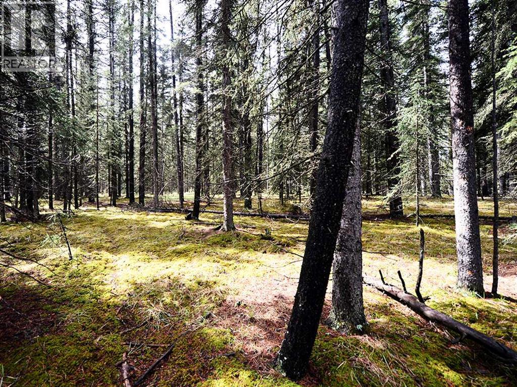336070 Highway 22 Highway W, Rural Foothills County, Alberta  T0L 0K0 - Photo 20 - A2257267