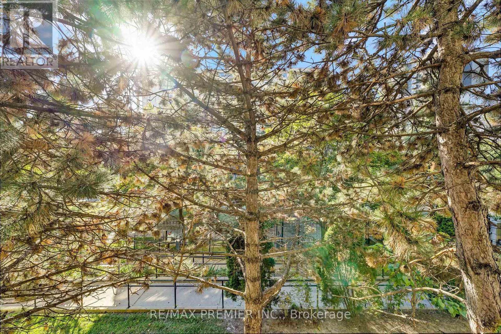 208 - 91 Townsgate Drive, Vaughan, Ontario  L4J 8E8 - Photo 25 - N12529106